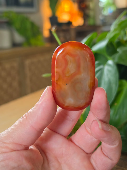 Carnelian Agate Palm Stone "A"