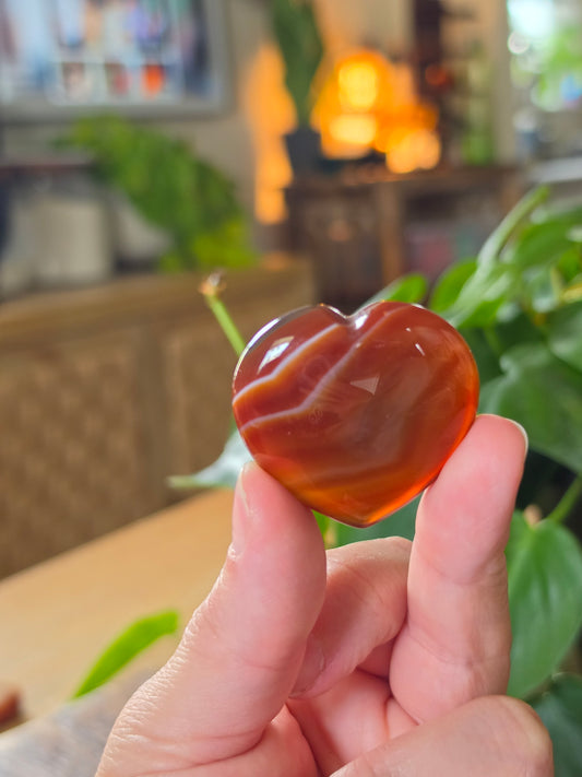 Carnelian Agate Heart "B"
