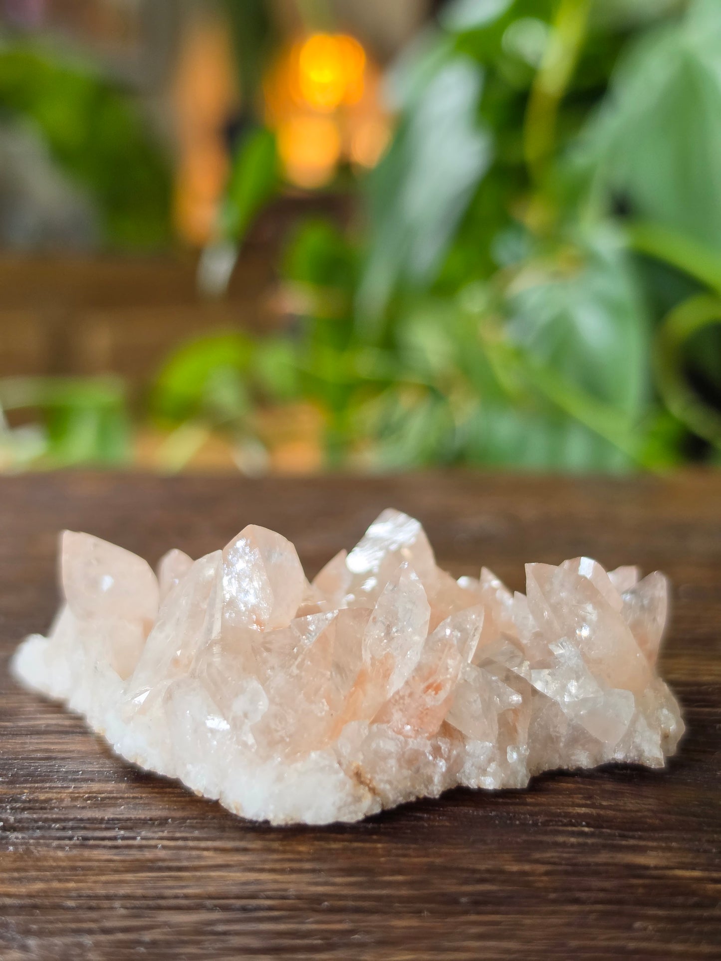 Swallowtail Calcite Crystal Specimen