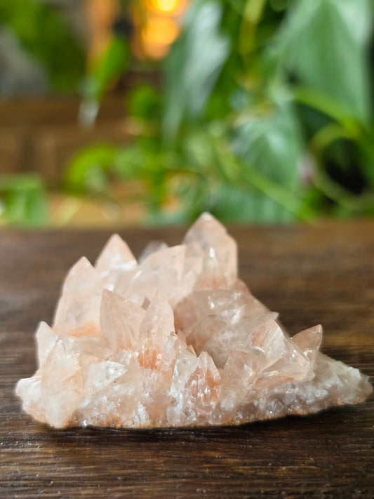 Swallowtail Calcite Crystal Specimen