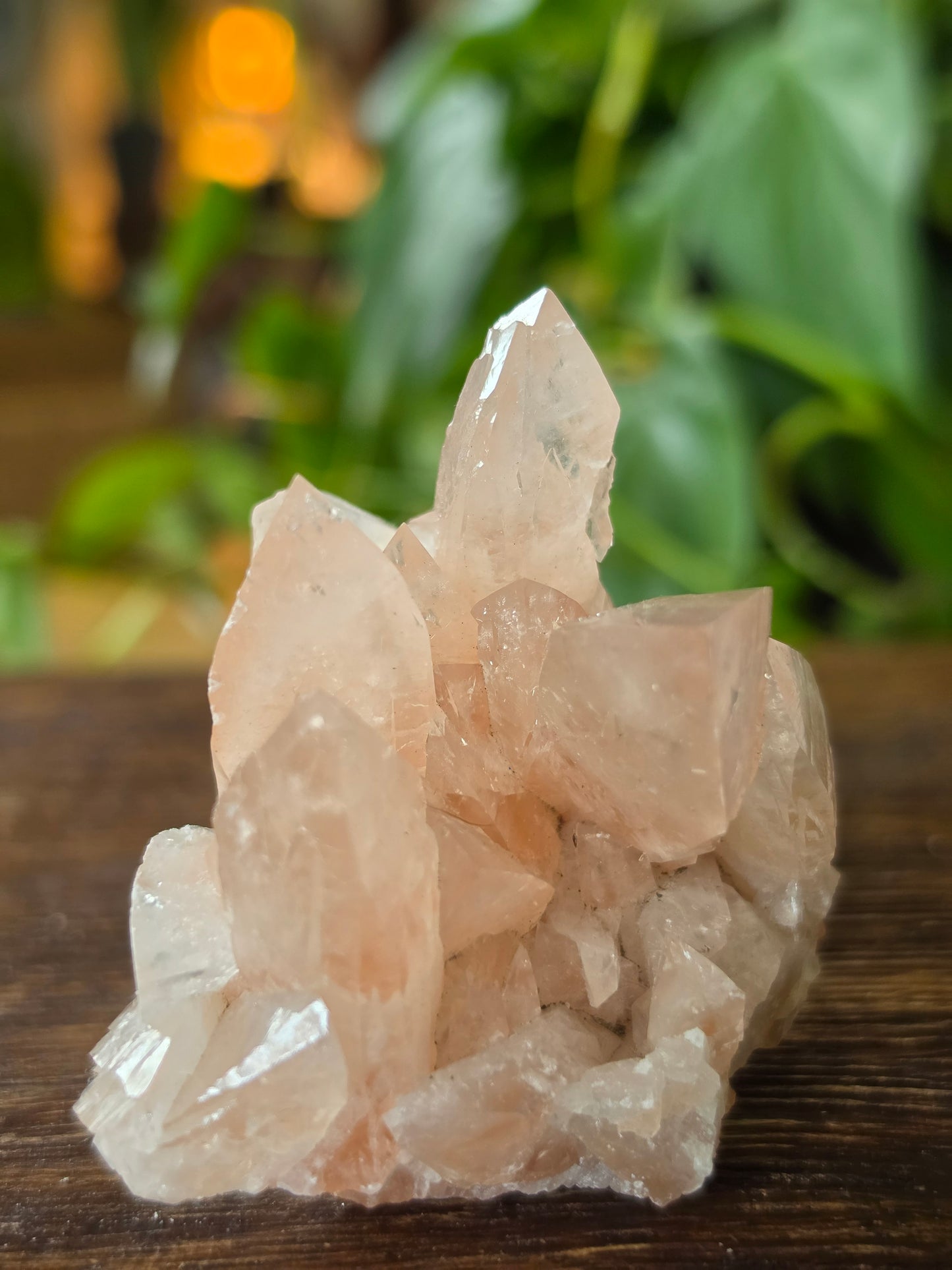 Swallowtail Calcite Crystal Specimen