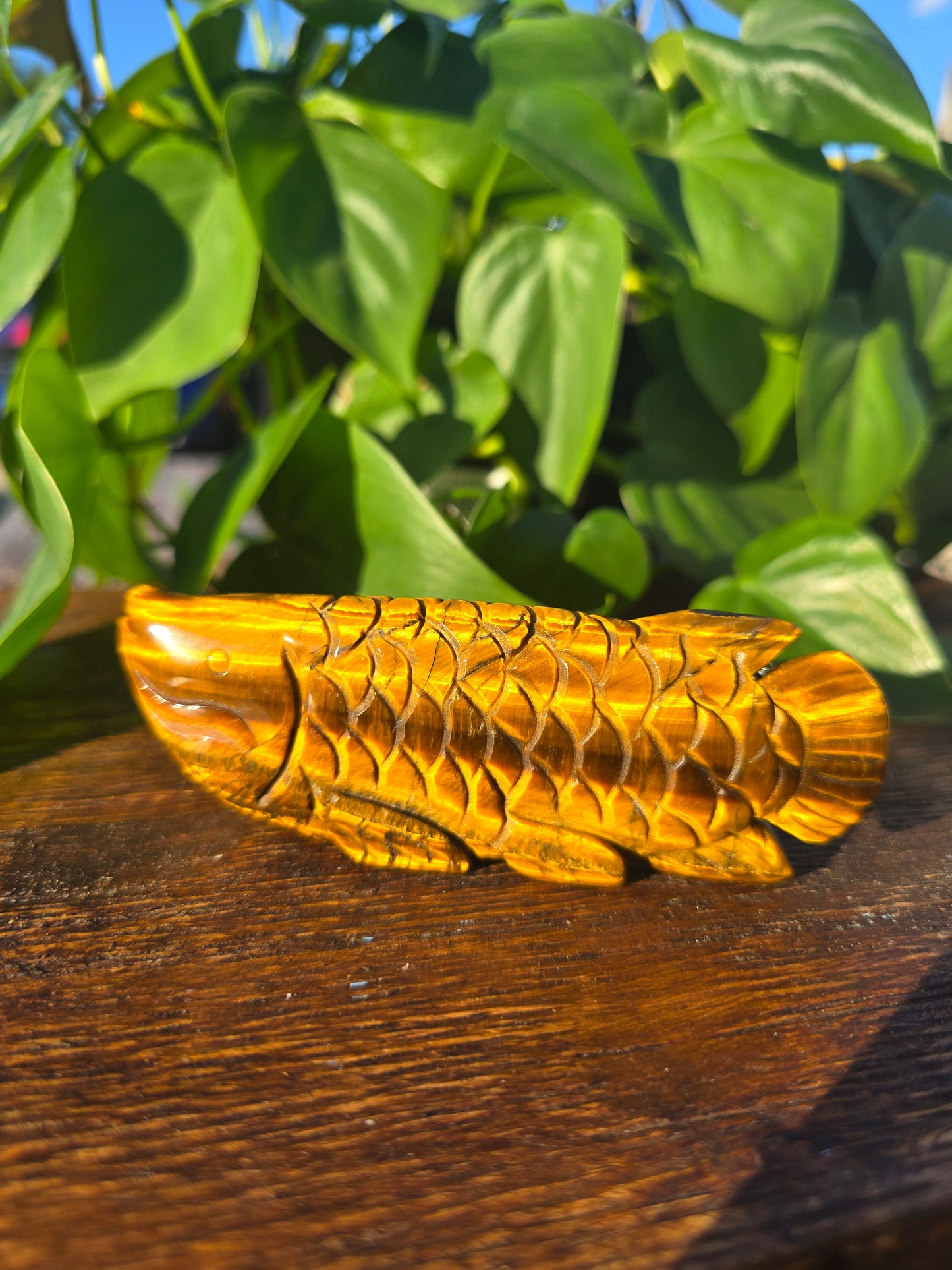 Tiger's Eye Fish Carving "B"