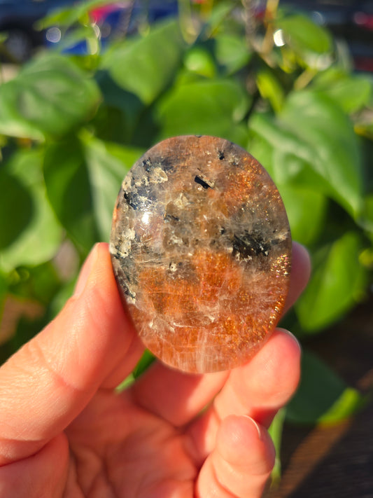 Tanzanian Sunstone Palm Stone "D"