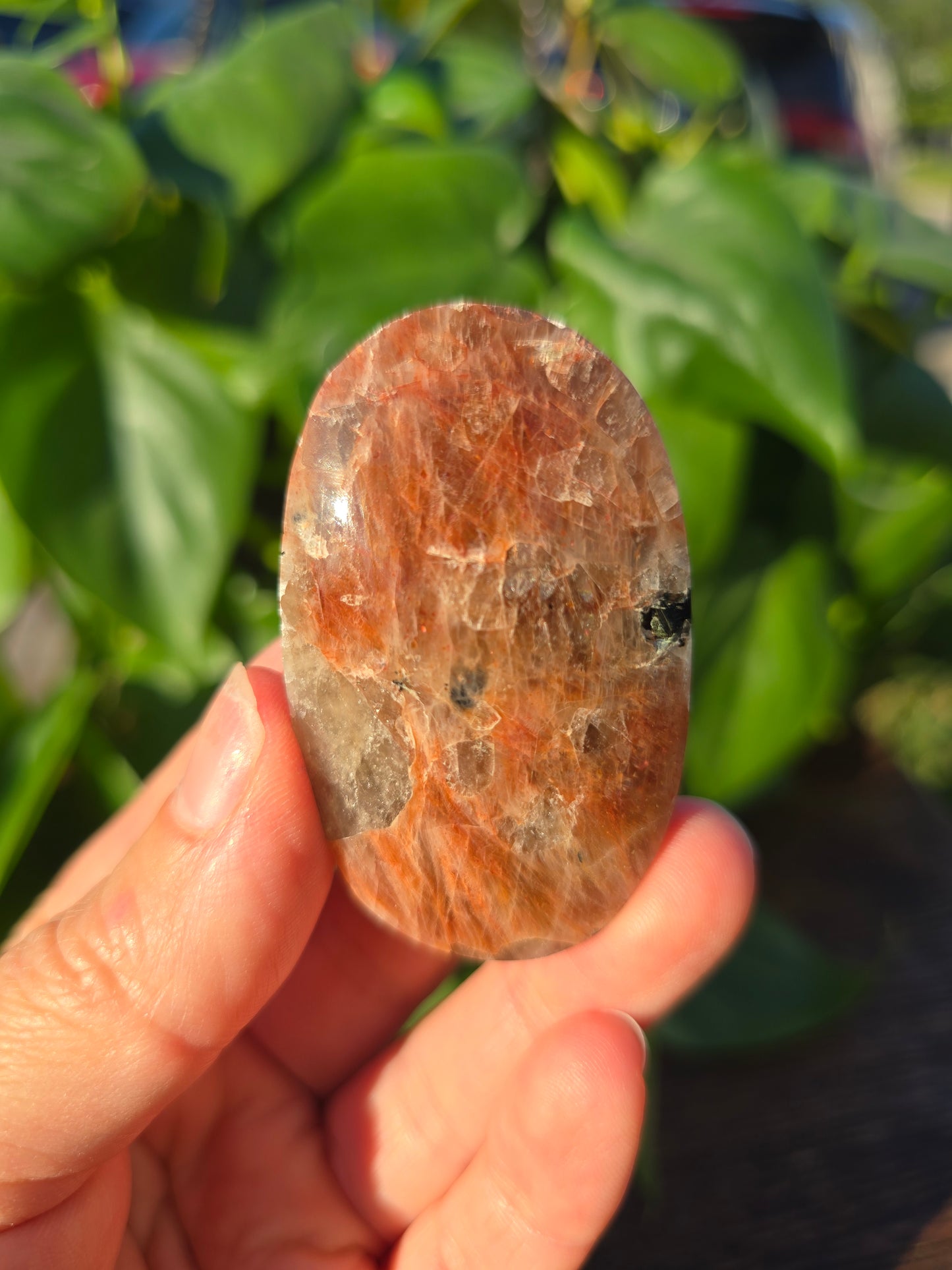 Tanzanian Sunstone Palm Stone "C"