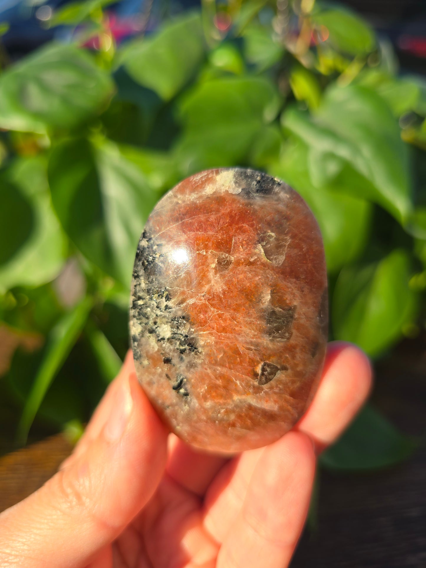 Tanzanian Sunstone Palm Stone "B"