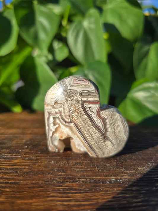 Mexican Crazy Lace Agate Crystal Heart Carving "C"