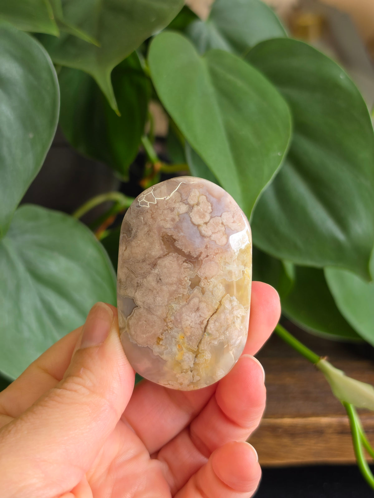Flower Agate Crystal Palm Stone "J"