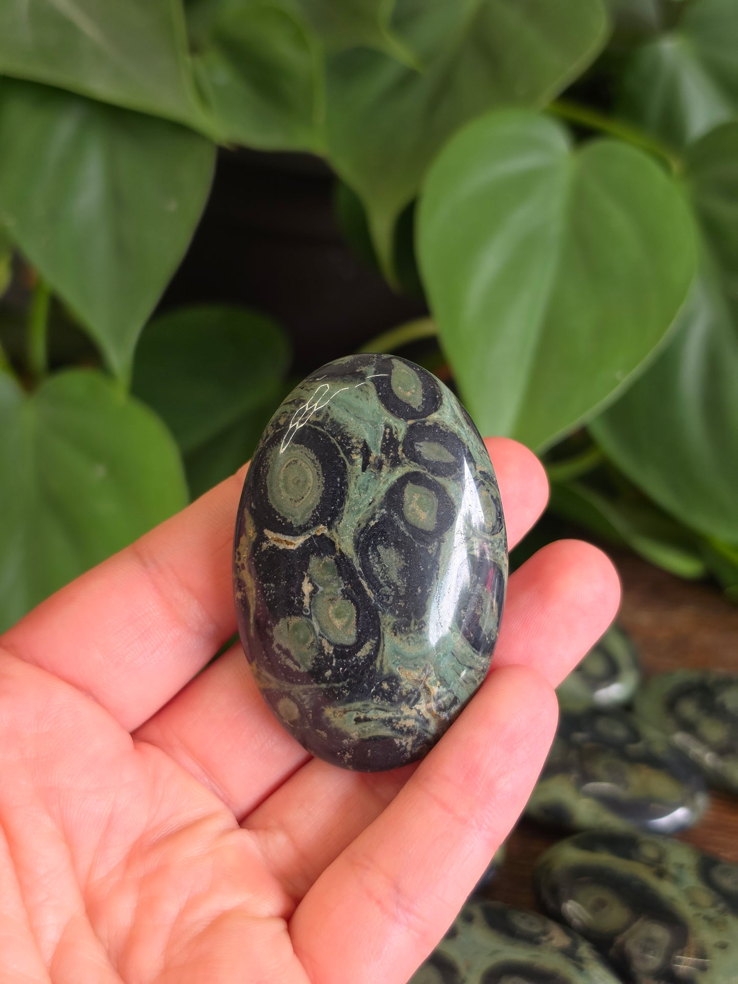 Kambaba Crystal Palm Stone (One Piece)