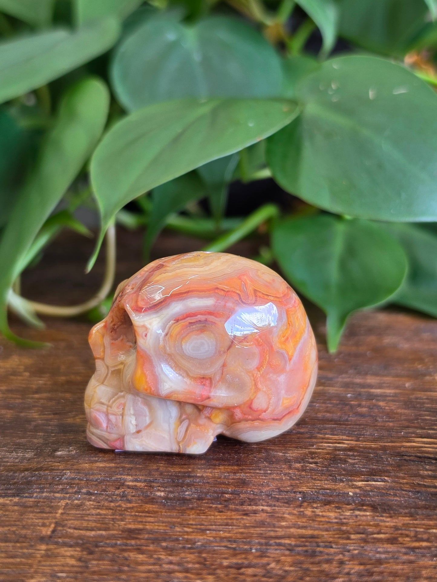 Mexican Crazy Lace Agate Crystal Skull