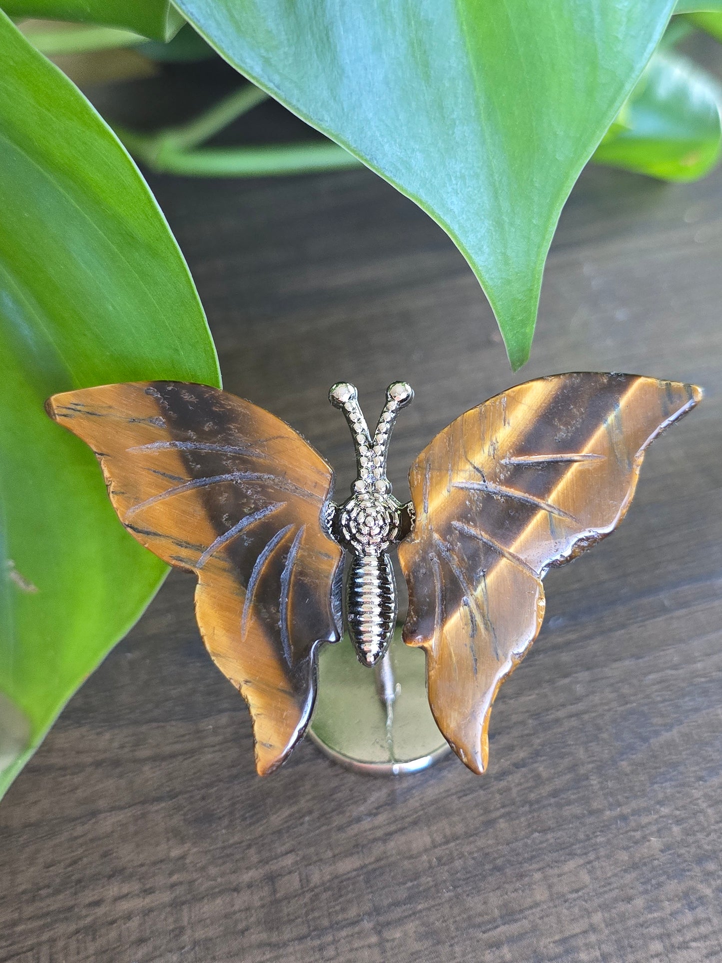 Tiger's Eye Butterfly Wings