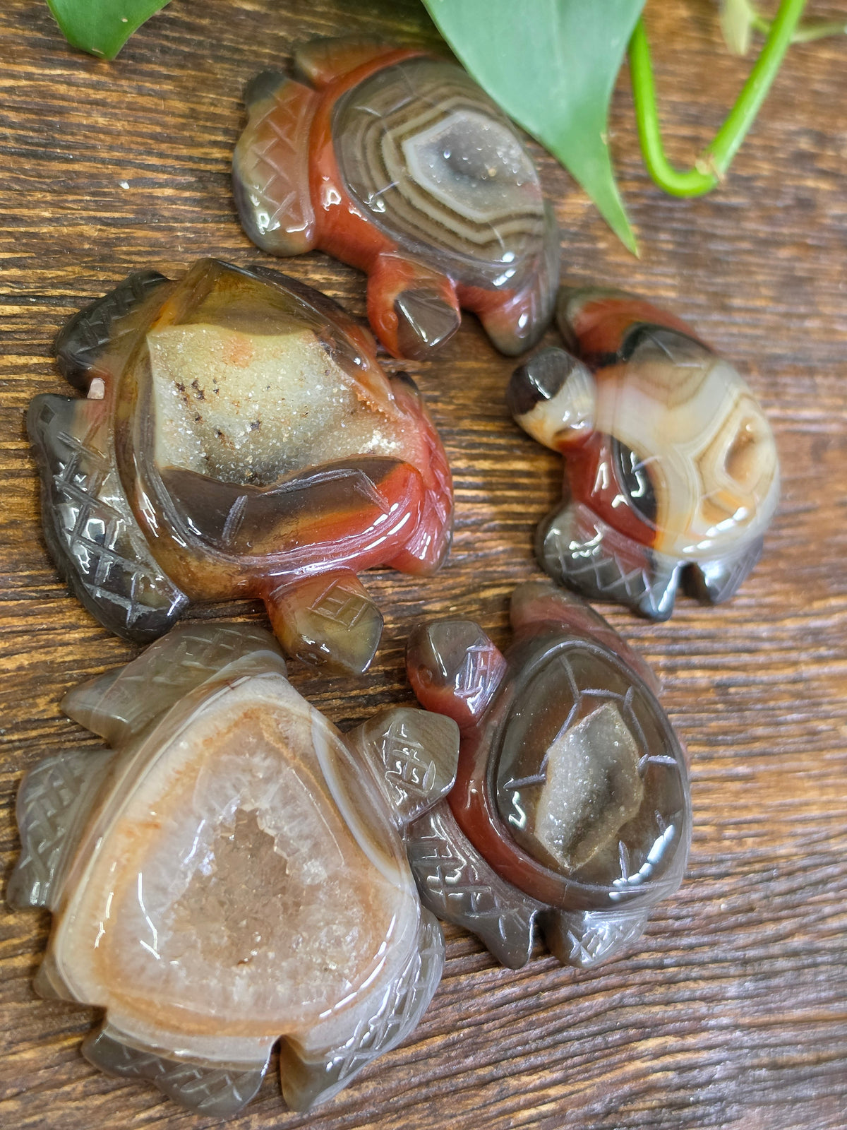 Agate Crystal Druzy Turtle Carving