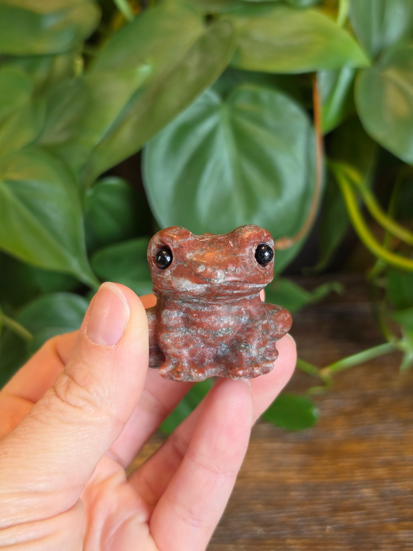 Red Jasper Crystal Frog Carving (One Piece)