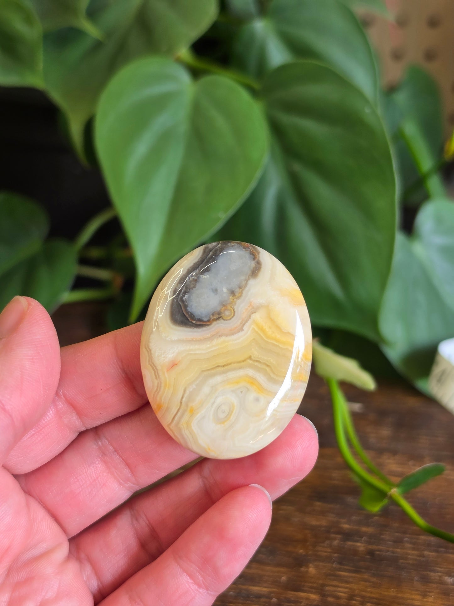 Mexican Crazy Lace Agate Crystal Worry Stone