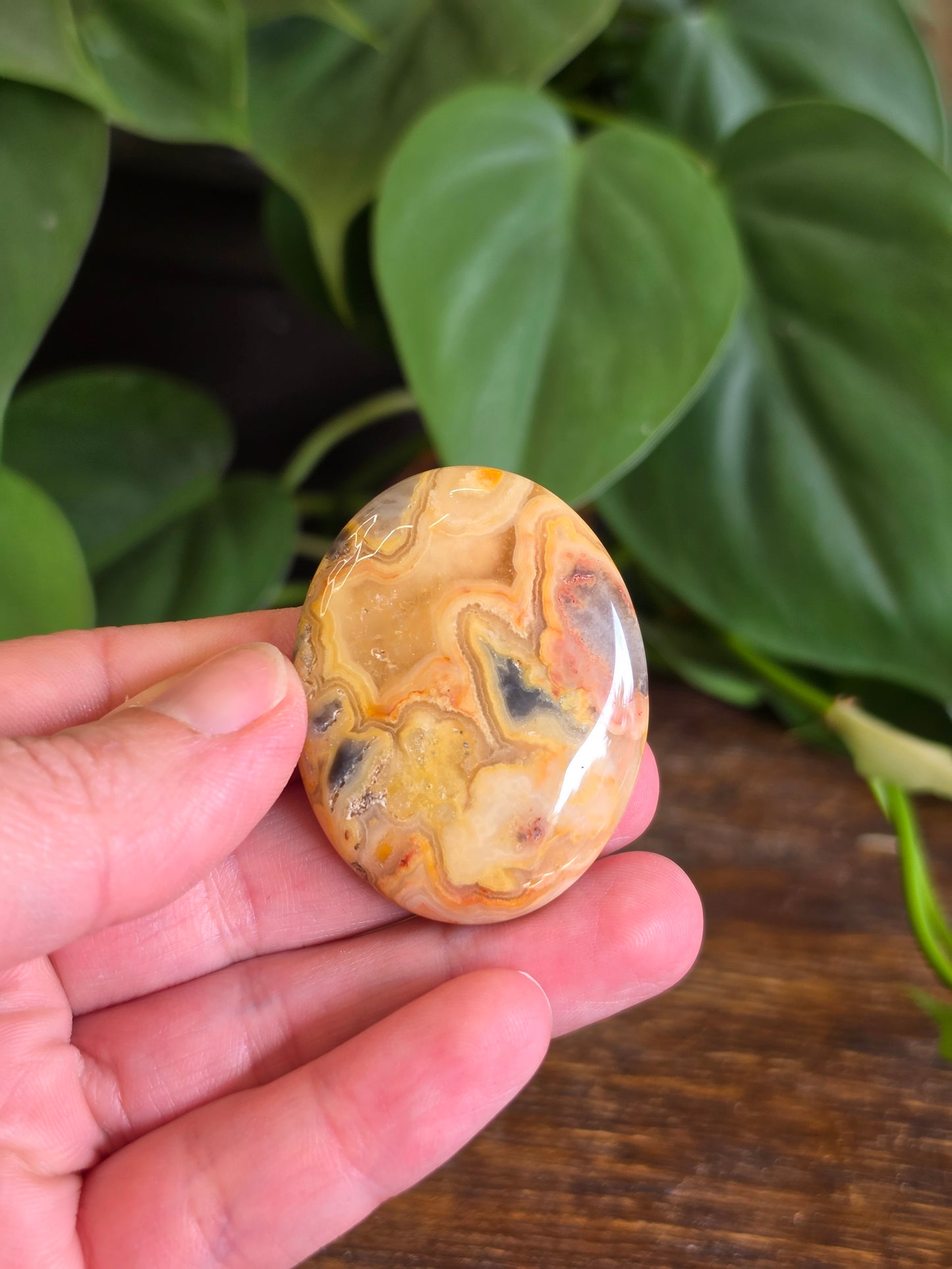 Mexican Crazy Lace Agate Crystal Worry Stone