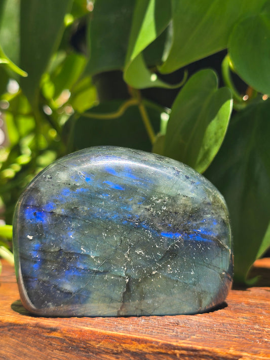 Labradorite Crystal Free Form Carving "F"