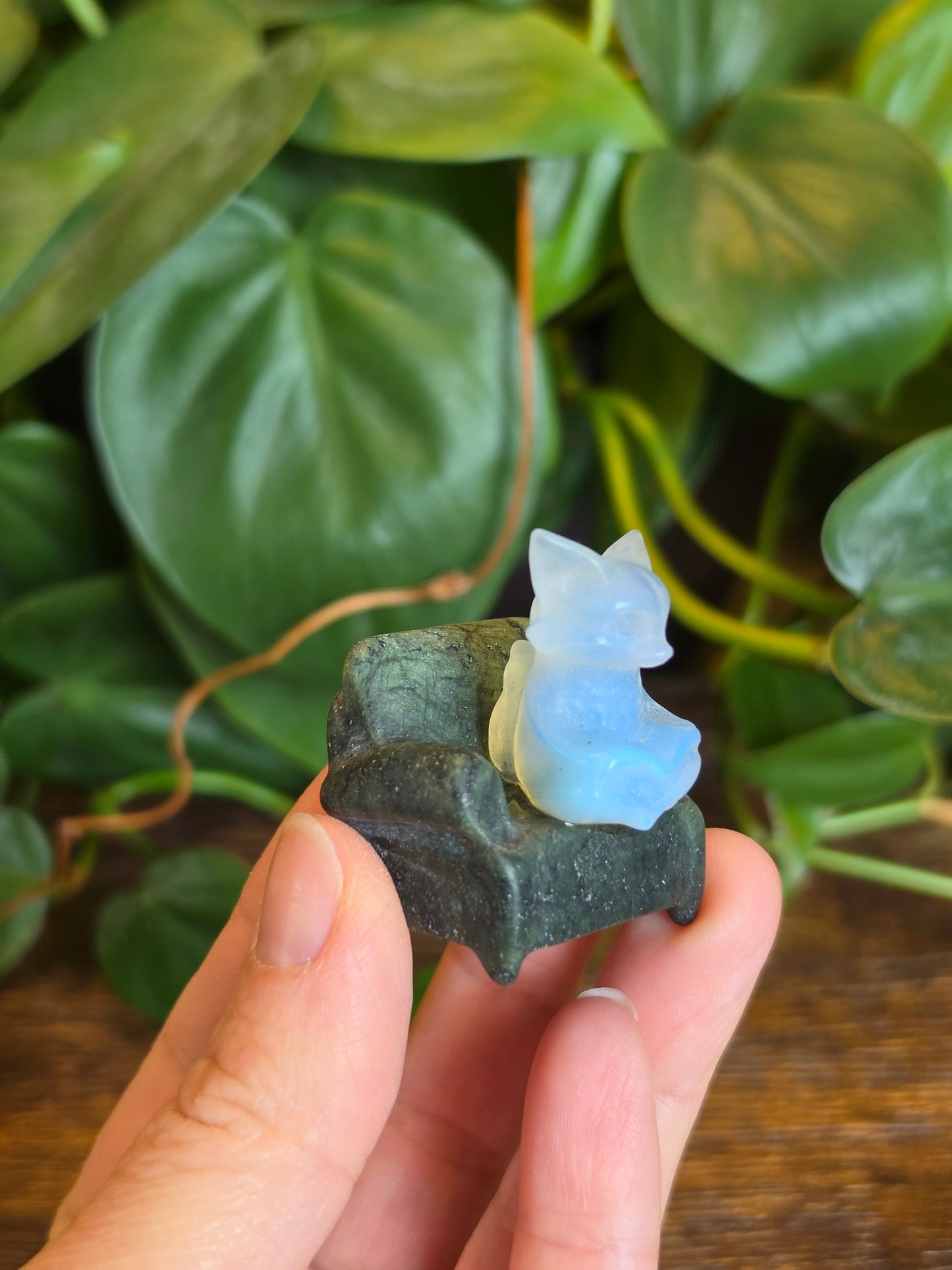 Opalite Fox on a Serpentine Chair