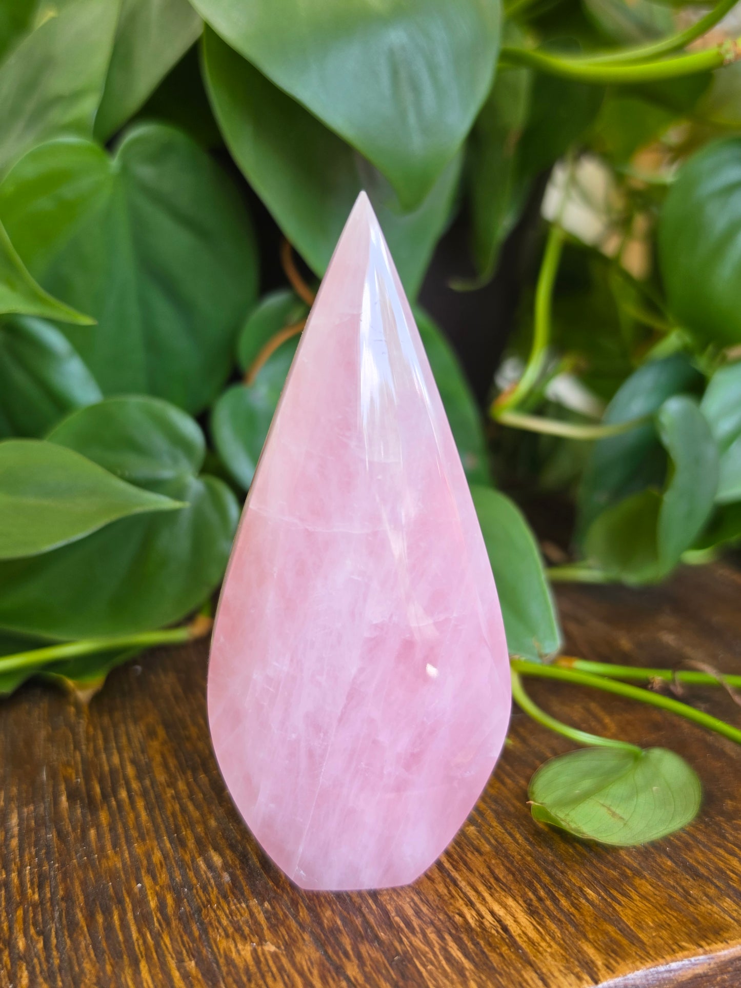 Rose Quartz Flipper Carving "B"