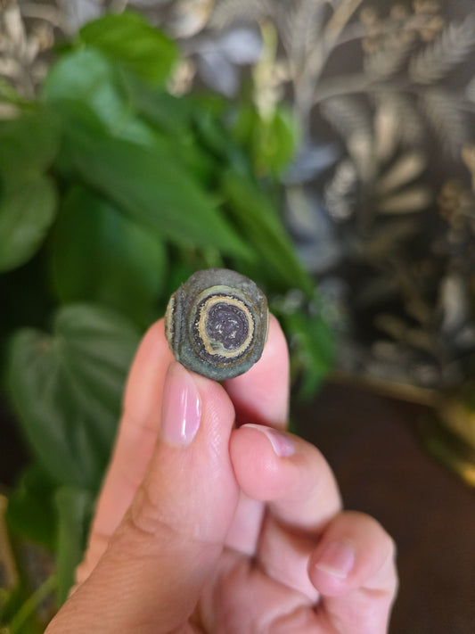 Natural Gobi Agate