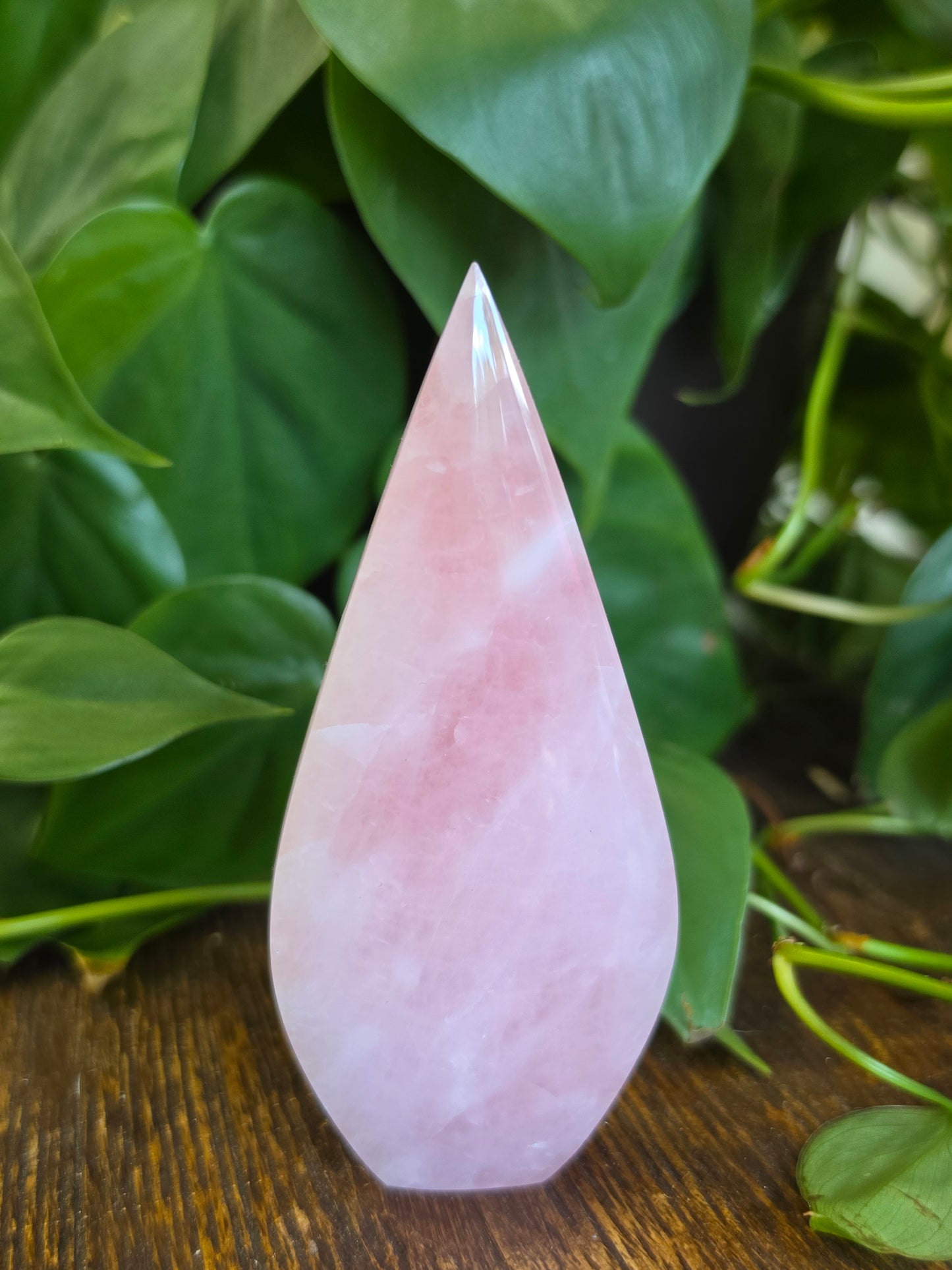 Rose Quartz Flipper Carving "C"