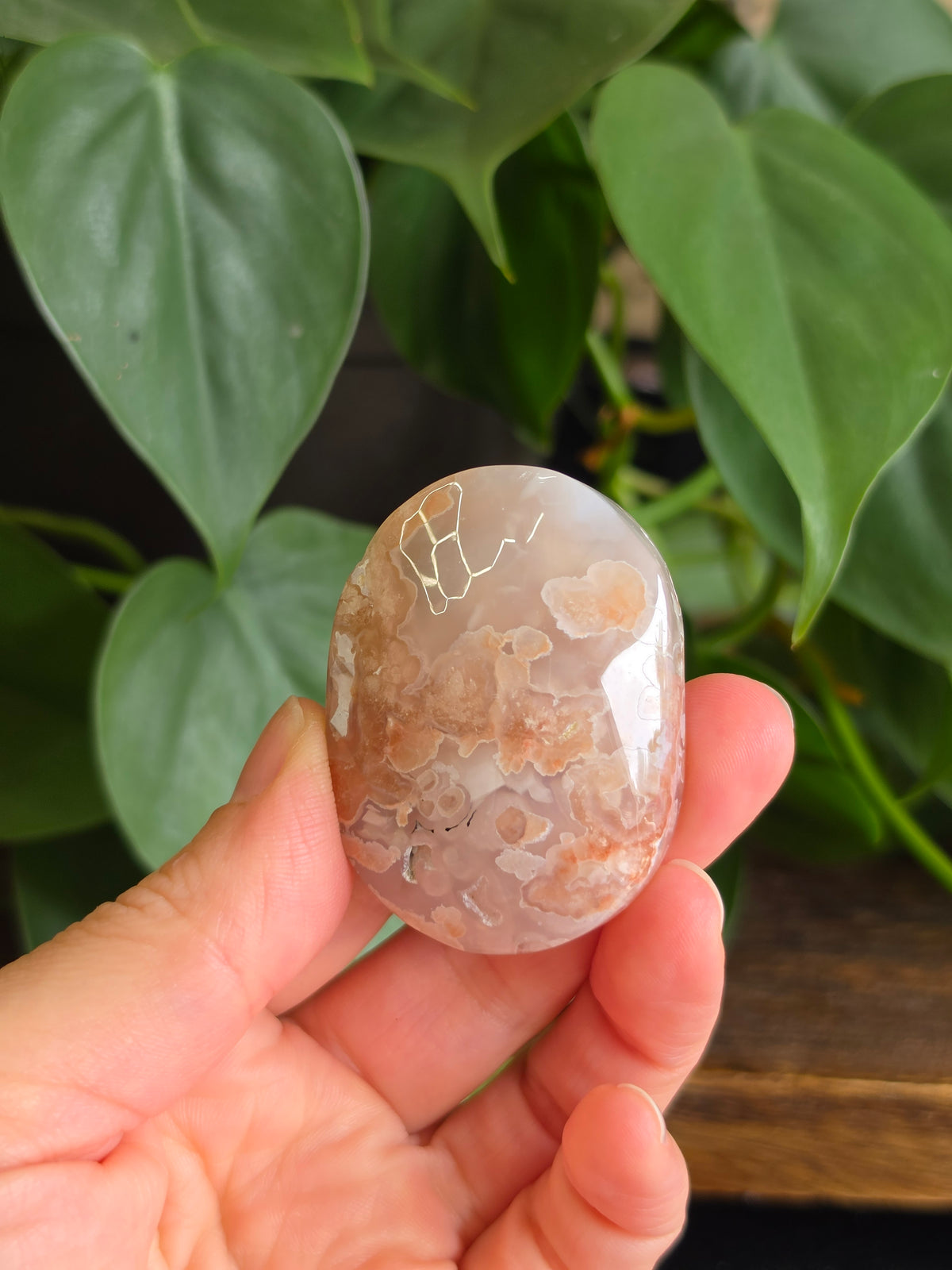 Flower Agate Crystal Palm Stone "H"