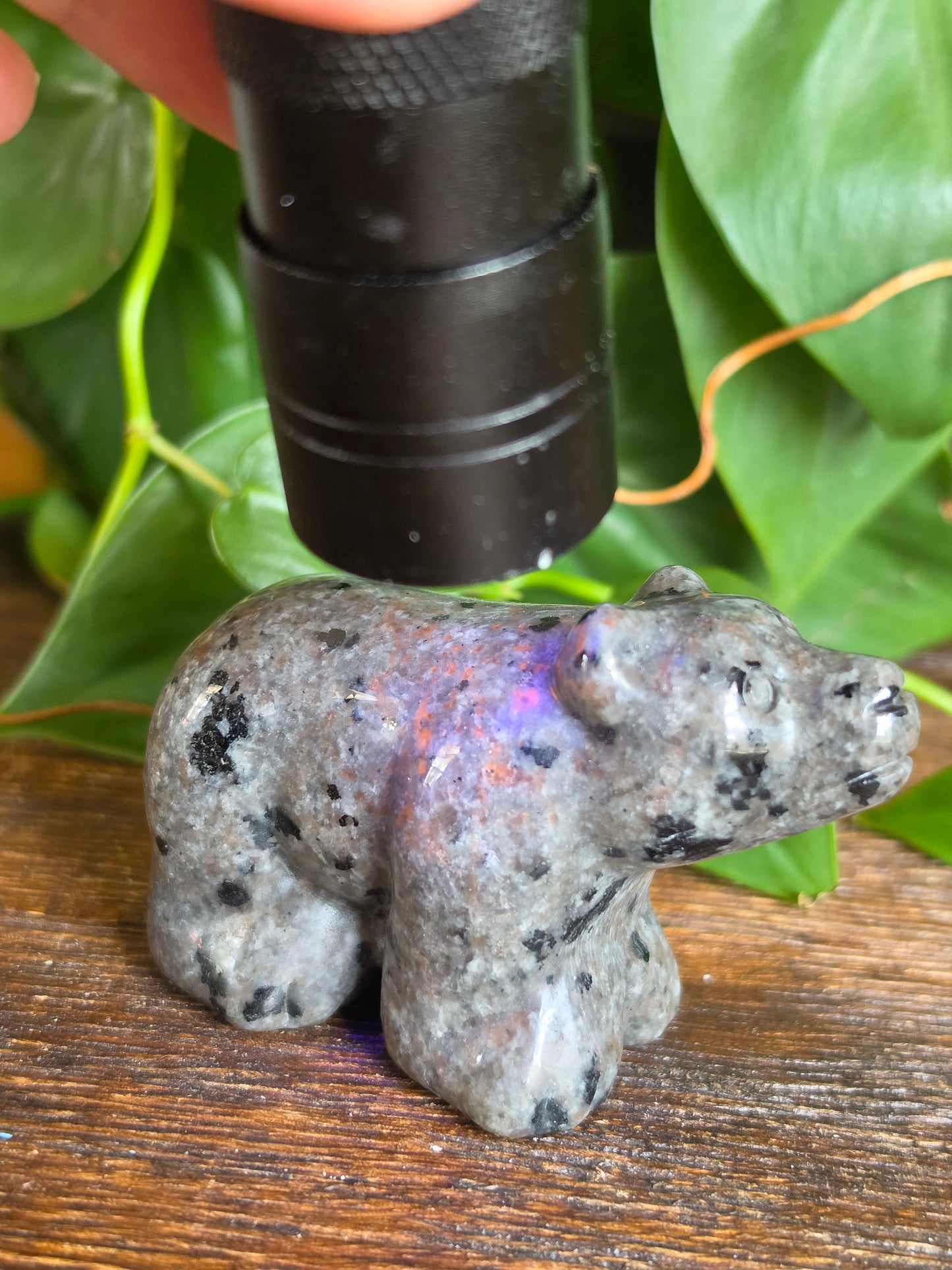 UV Reactive Sodalite (Yooperlite) Crystal Bear Carving
