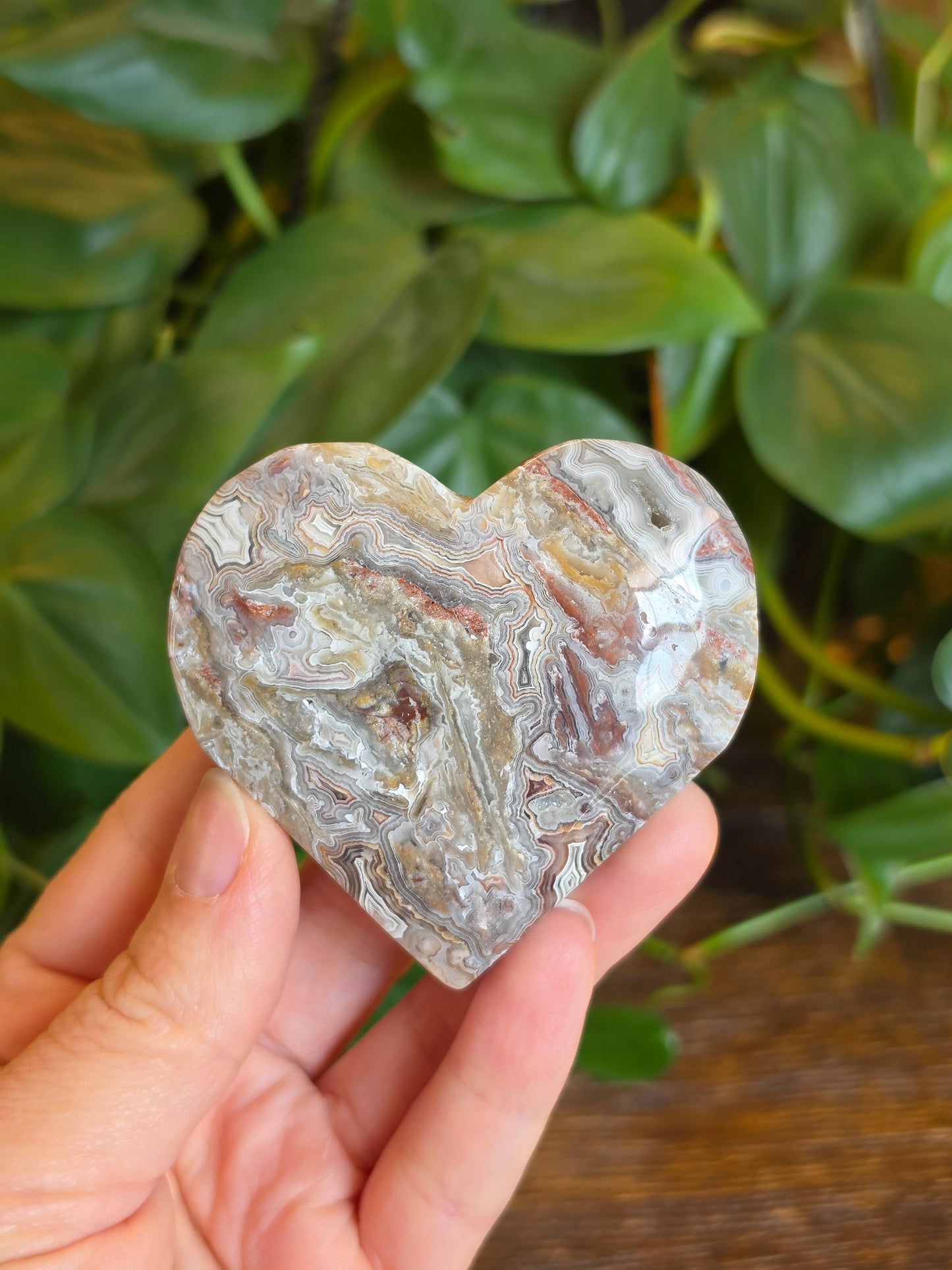Mexican Crazy Lace Agate Crystal Heart Carving "D"