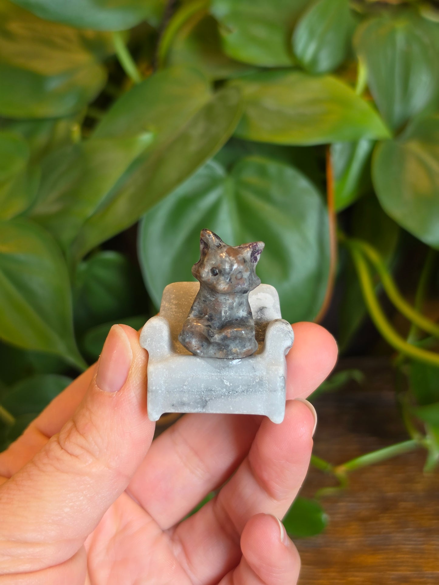 UV Sodalite Fox on a Zebra Stone Chair