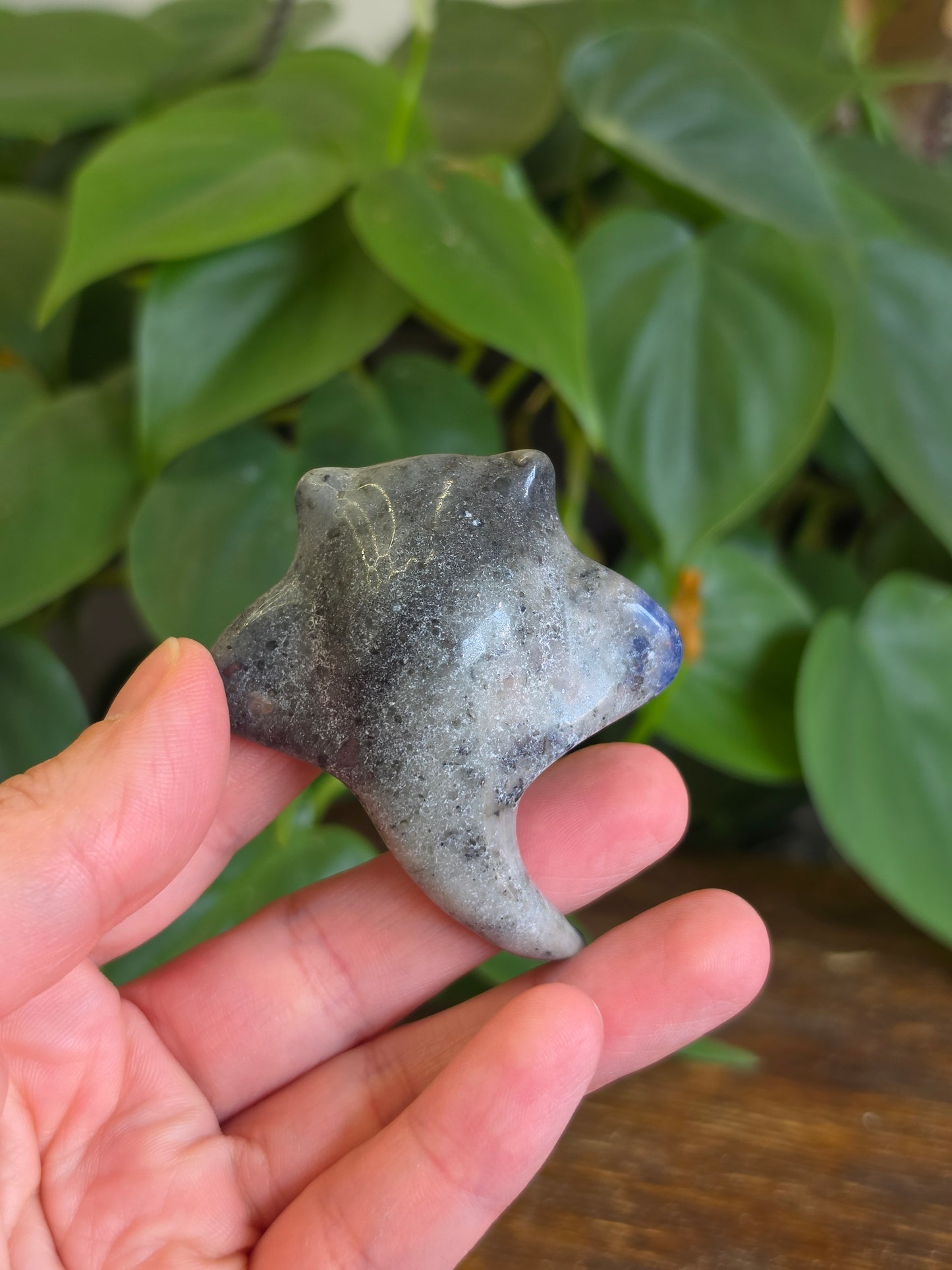 Sodalite Manta Ray Carving