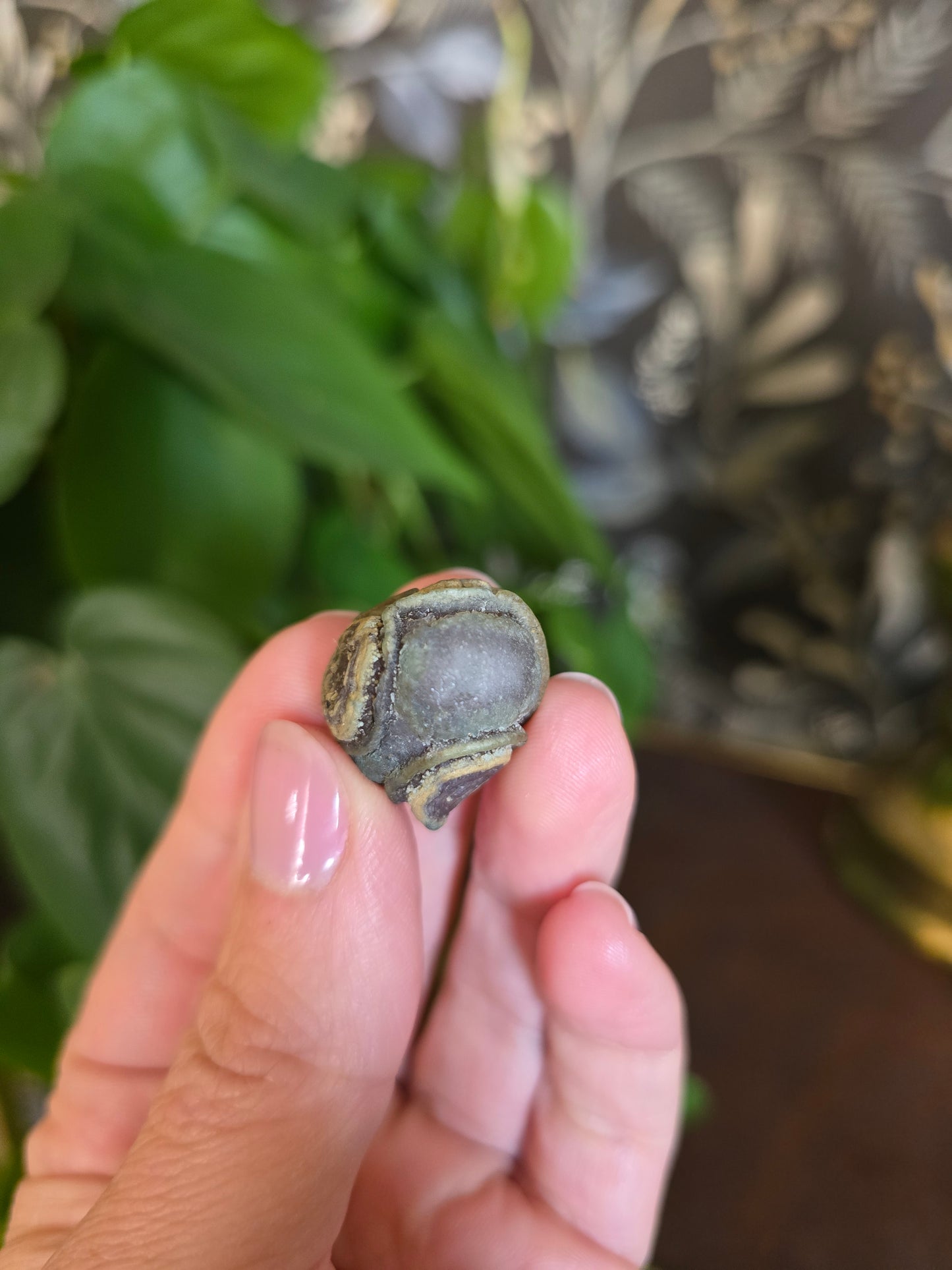 Natural Gobi Agate
