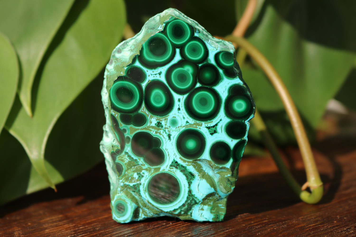 Polished Stones