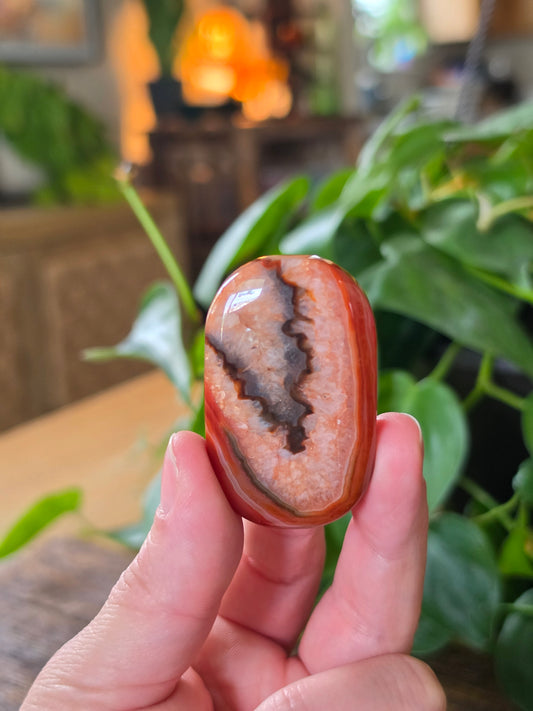 Carnelian Agate Palm Stone "C"