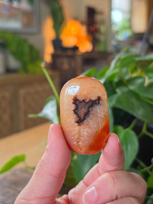 Carnelian Agate Palm Stone "E"
