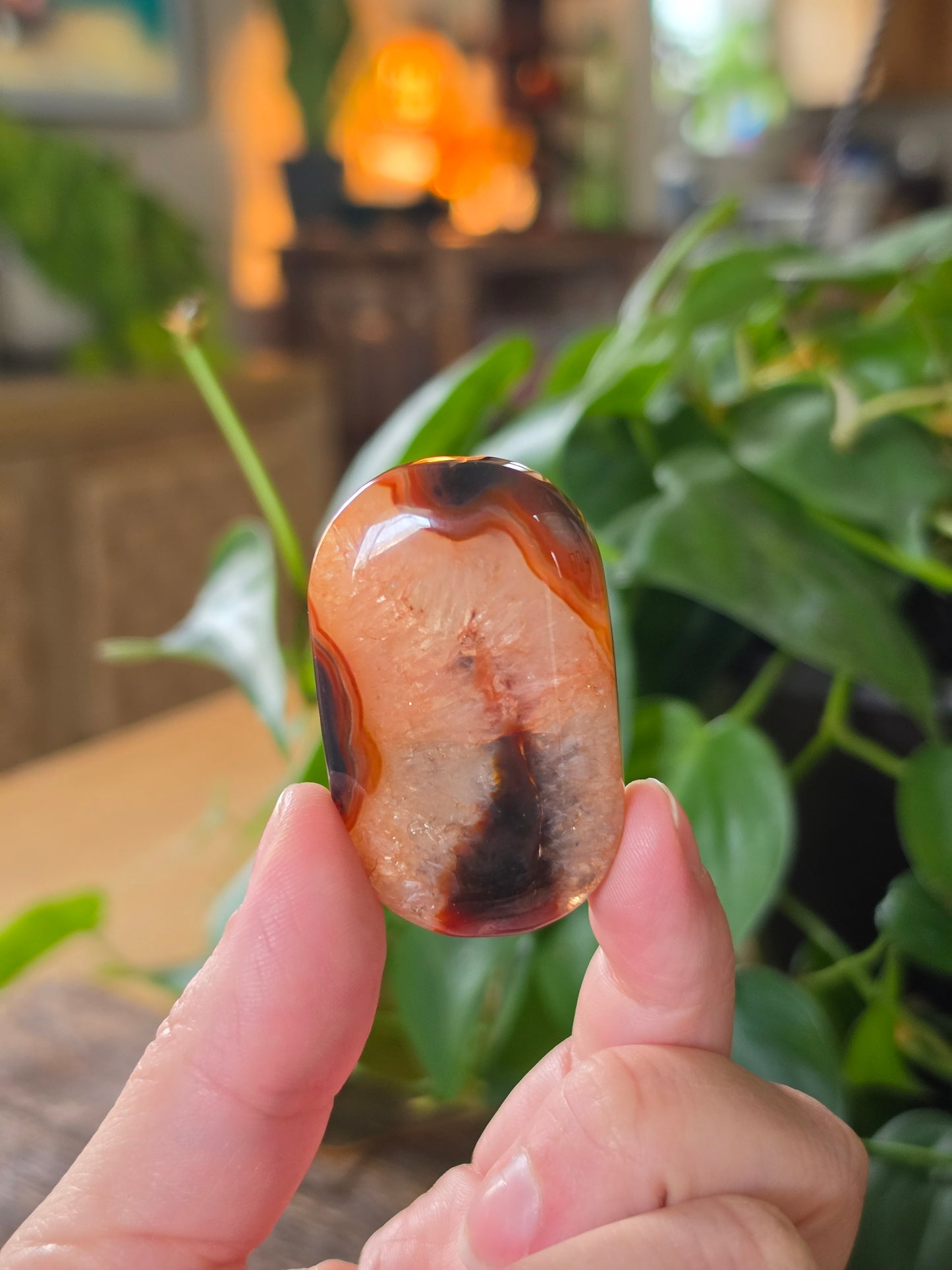 Carnelian Agate Palm Stone "F"