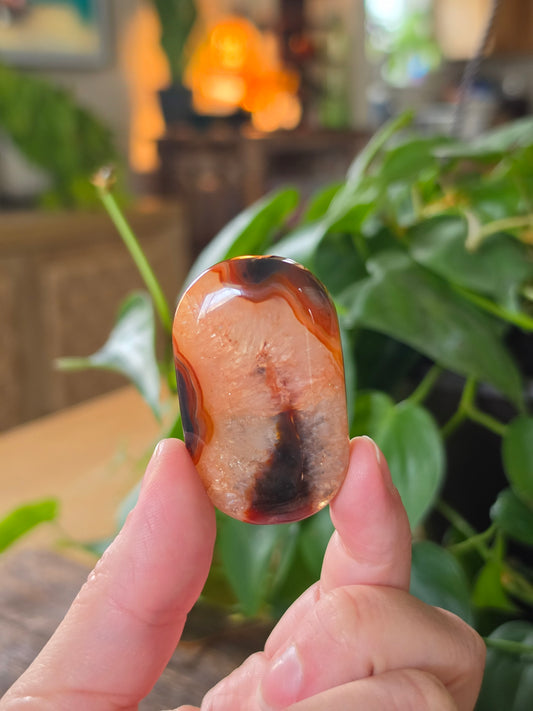 Carnelian Agate Palm Stone "F"