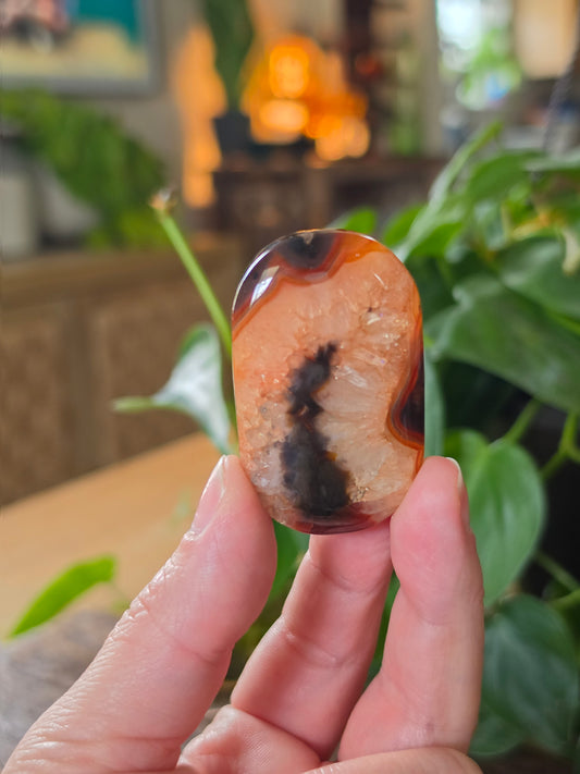 Carnelian Agate Palm Stone "F"