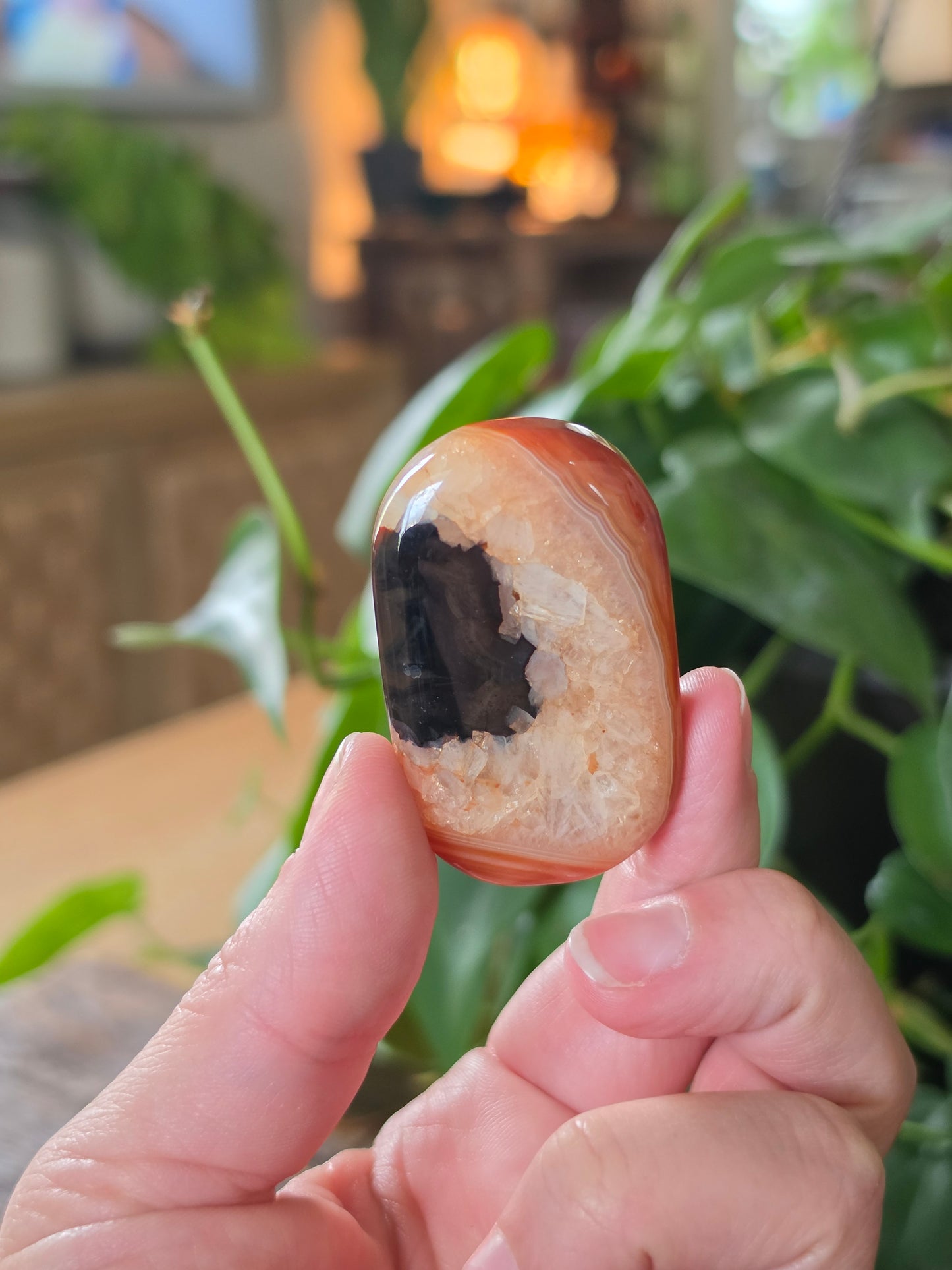 Carnelian Agate Palm Stone "H"