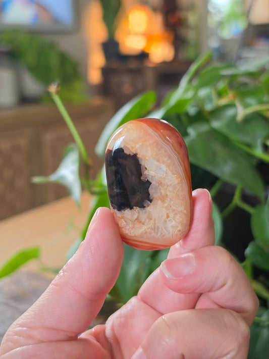 Carnelian Agate Palm Stone "H"