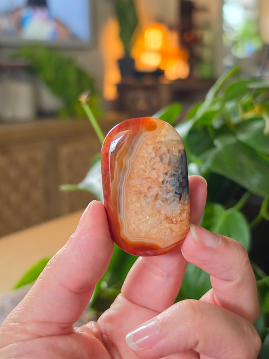 Carnelian Agate Palm Stone "H"