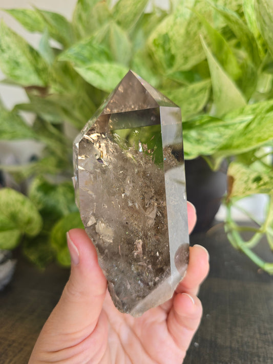 Smoky Garden Quartz With Mica Freeform