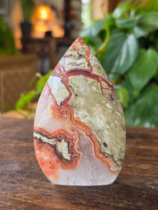 Money Agate Flipper Carving "C"