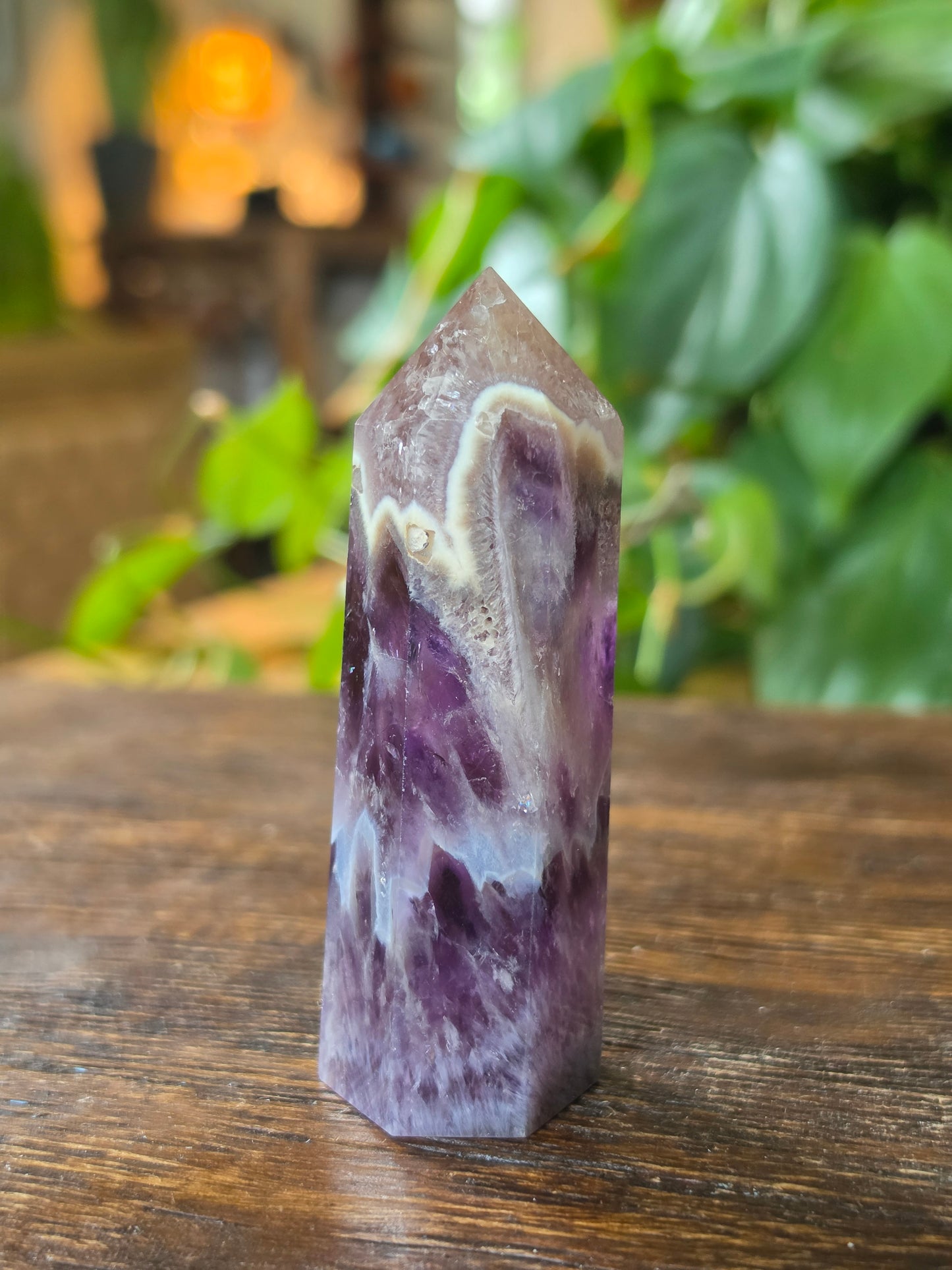 Chevron Amethyst Point