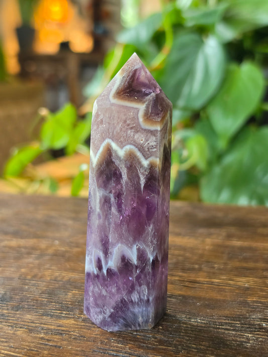 Chevron Amethyst Point