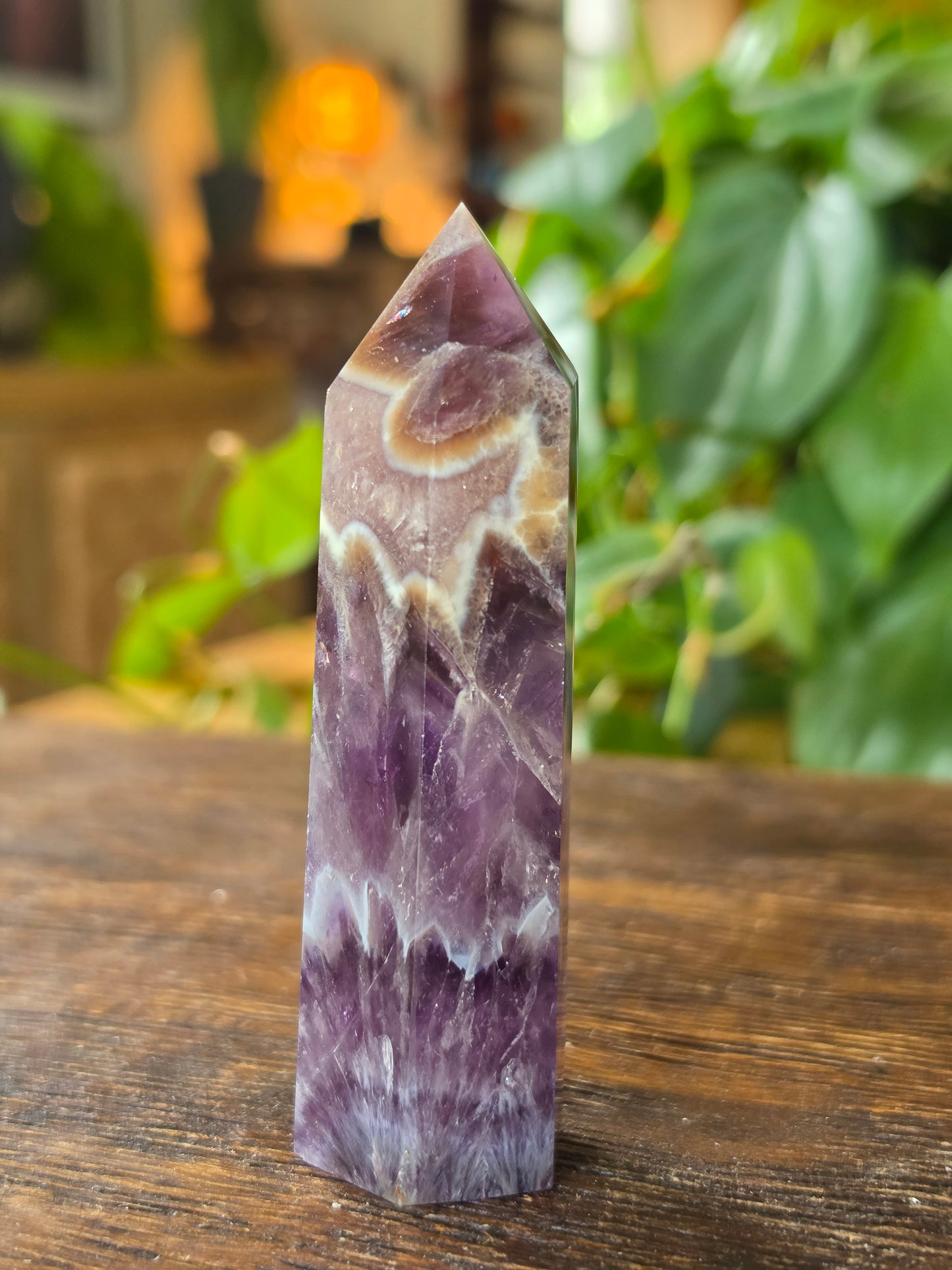 Chevron Amethyst Point
