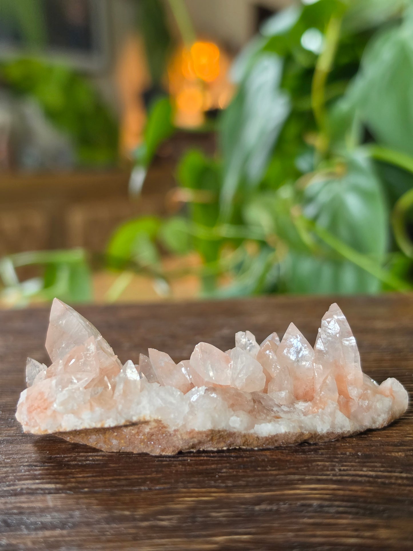Swallowtail Calcite Crystal Specimen