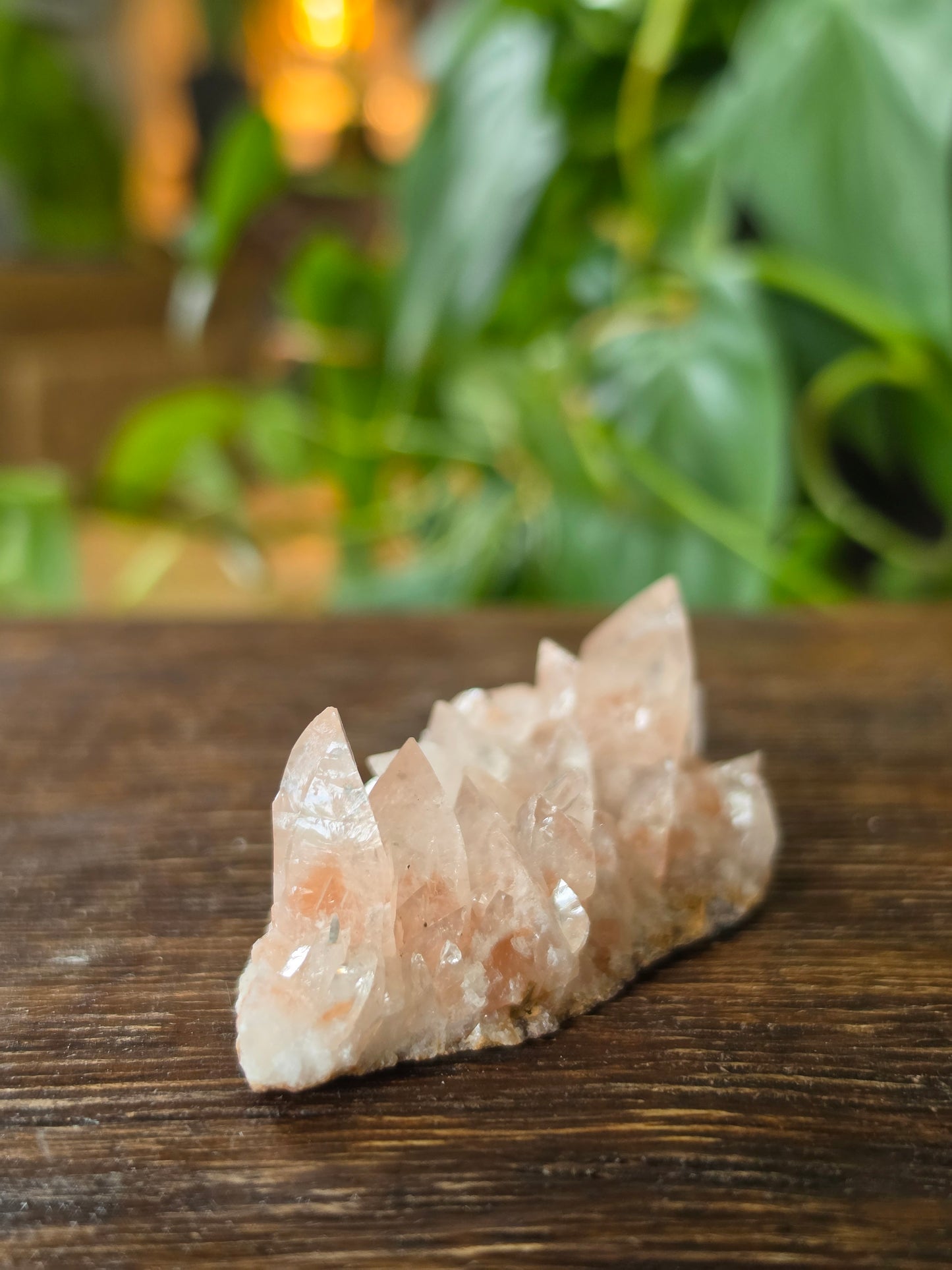 Swallowtail Calcite Crystal Specimen