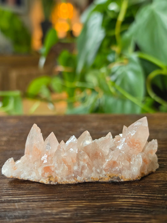 Swallowtail Calcite Crystal Specimen