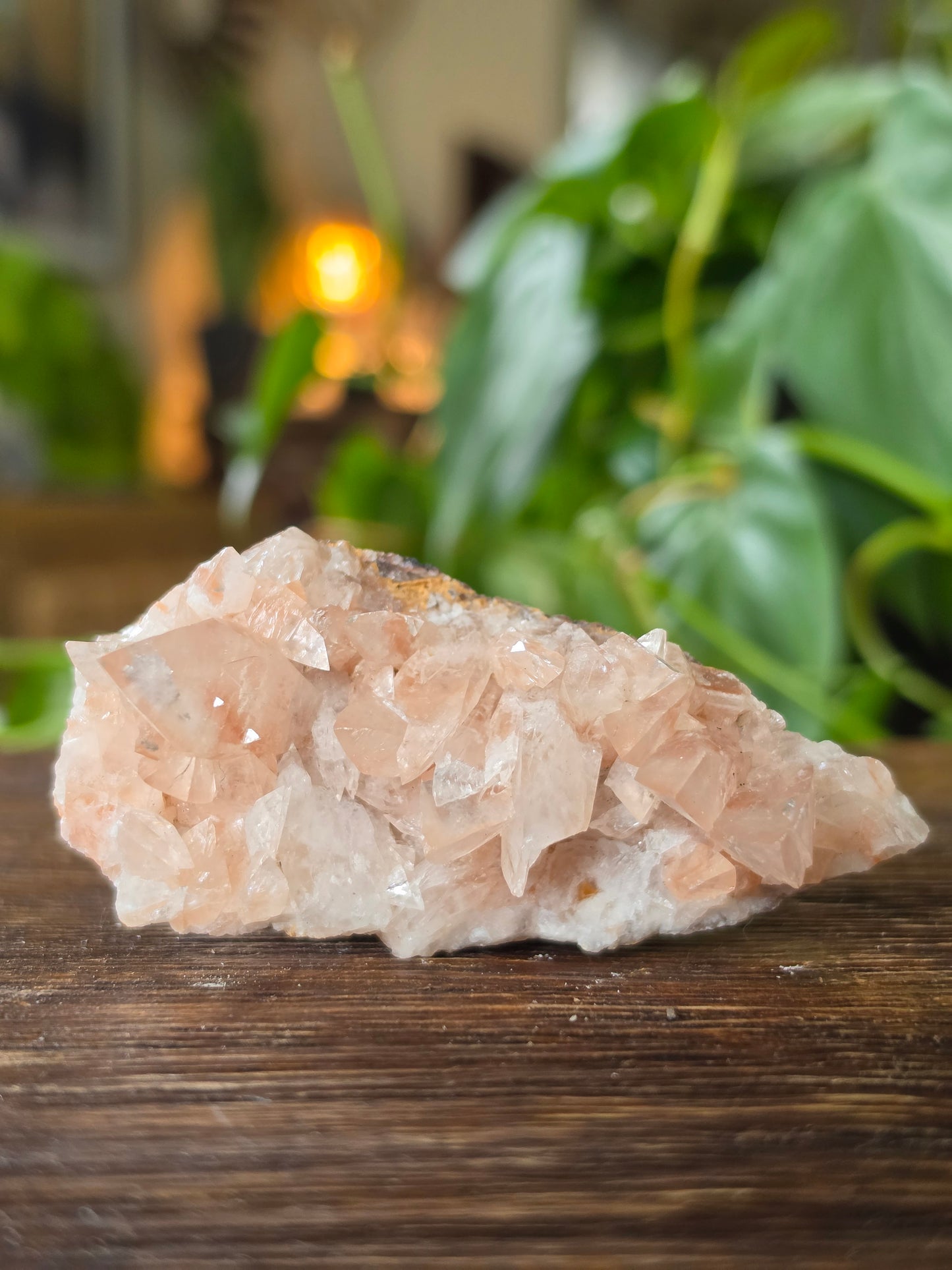 Swallowtail Calcite Crystal Specimen