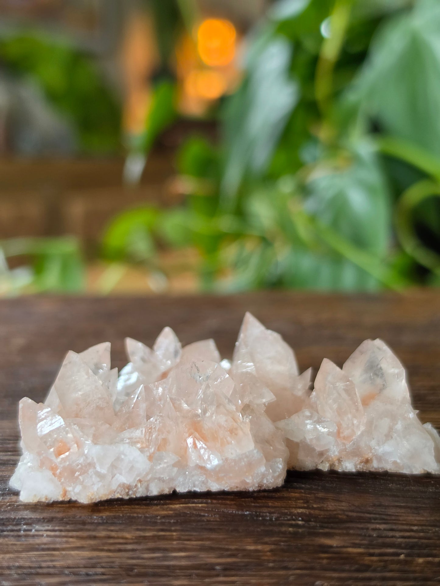 Swallowtail Calcite Crystal Specimen