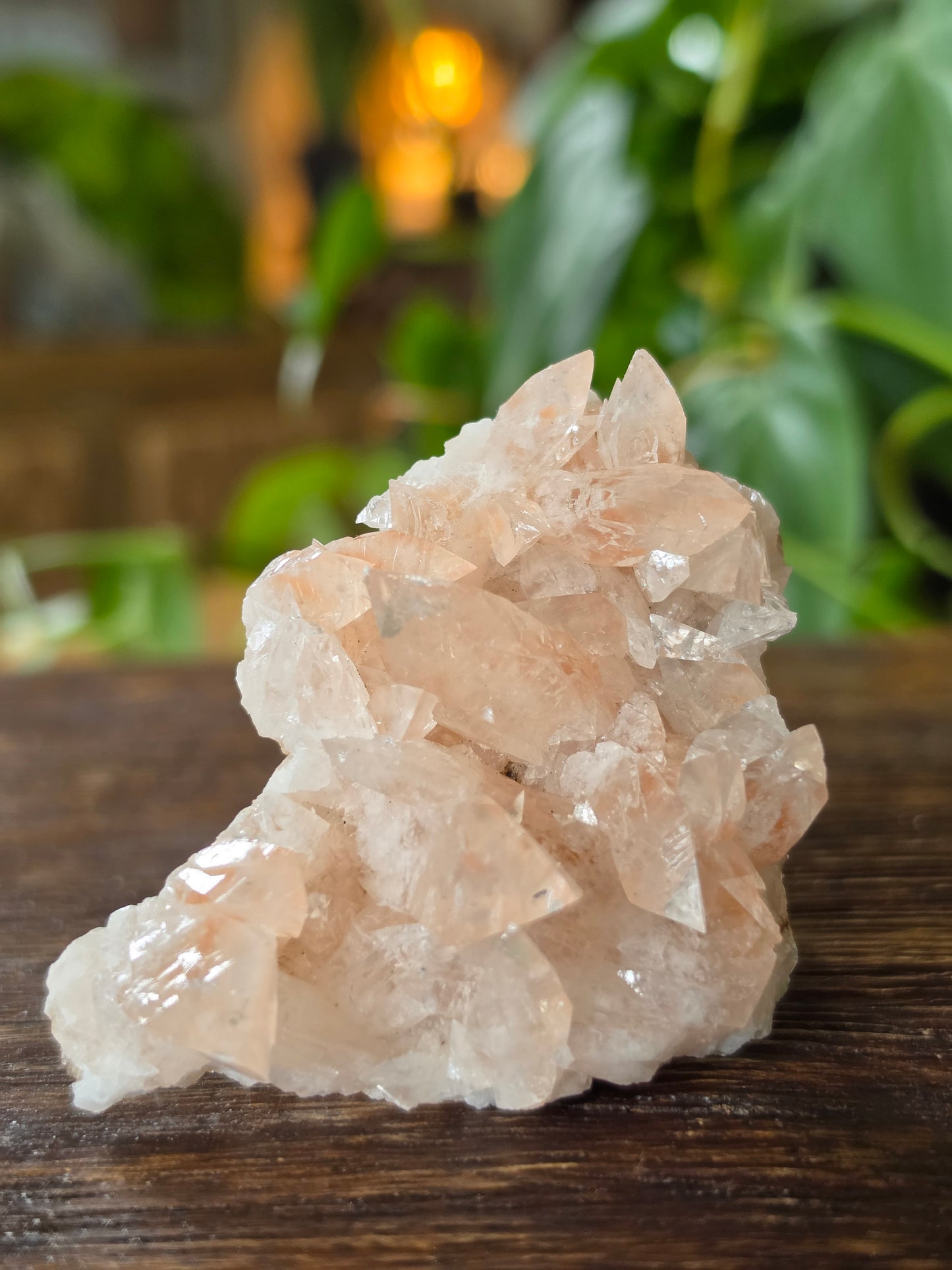 Swallowtail Calcite Crystal Specimen