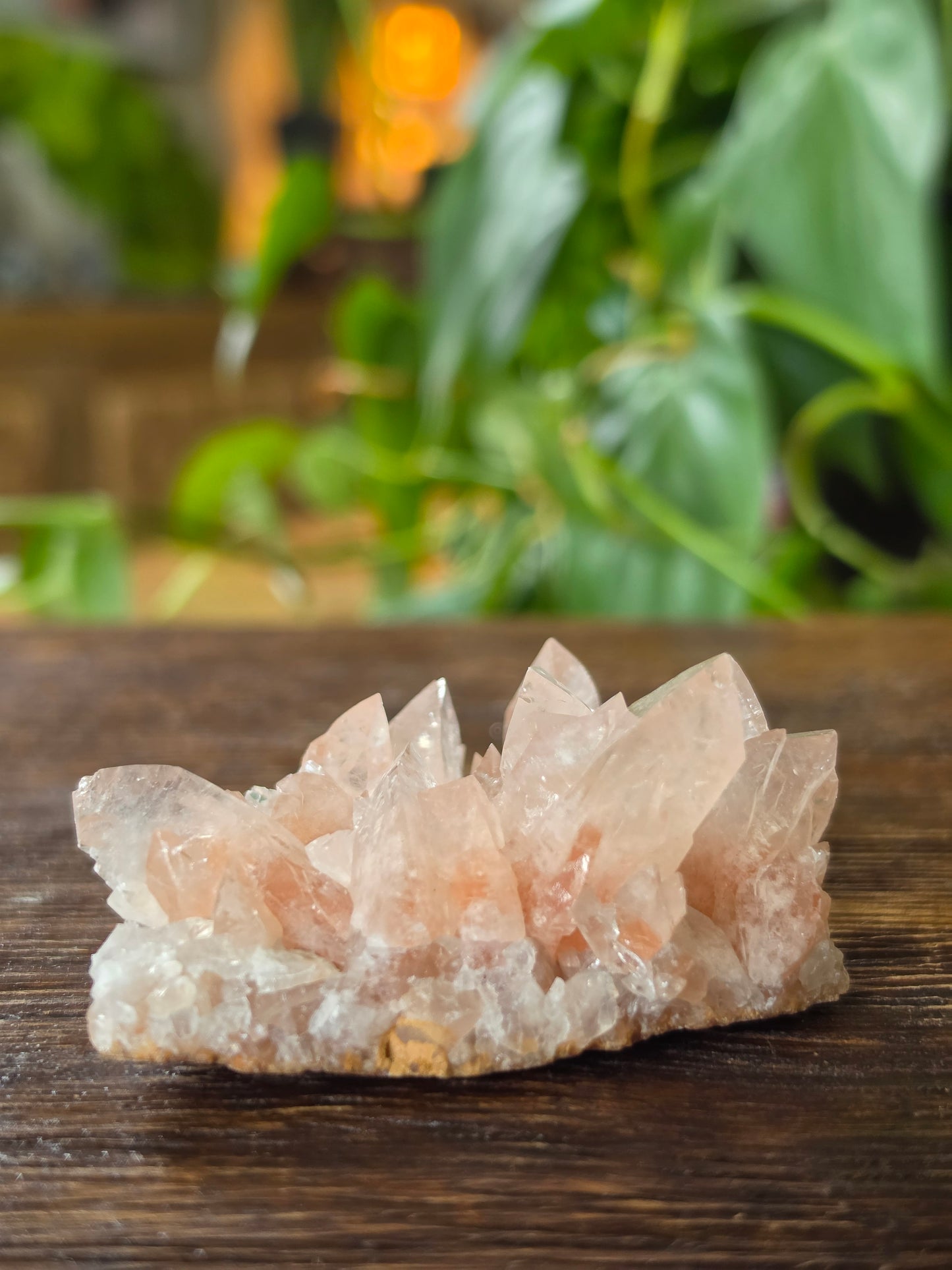 Swallowtail Calcite Crystal Specimen